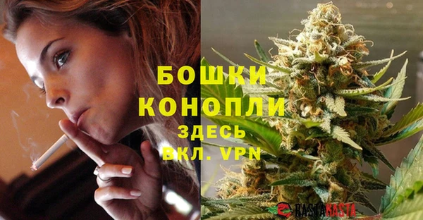 стафф Инта