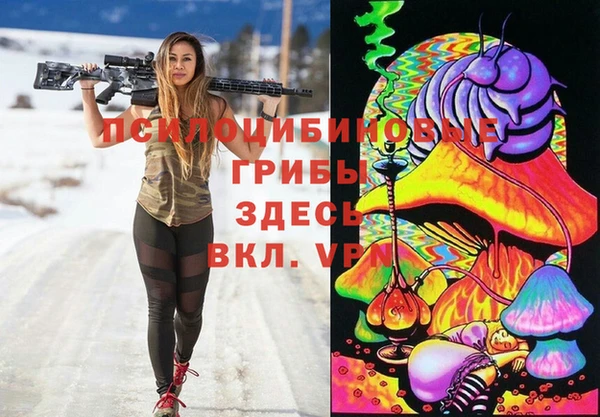 стафф Инта