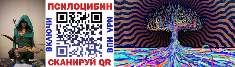 Купить закладки  Островной  Псилоцибиновые грибы MAGIC MUSHROOMS 